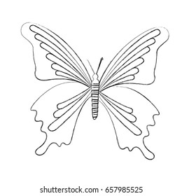 sketch draw butterfly cartoon