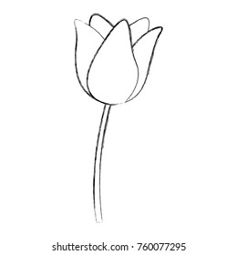 sketch draw flower cartoon