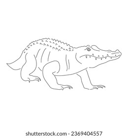 Sketch drawing of a Alligator isolated on a white background. Vector editable stroke.