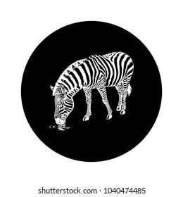 sketch drawing animal.draw, paint, sketch, trace, make a drawing, describe.