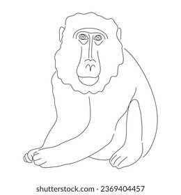 Sketch drawing of a Baboon isolated on a white background. Vector editable stroke.