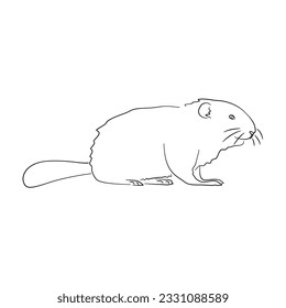 Sketch drawing of a Beaver isolated on a white background. Vector illustration. 