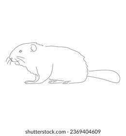 Sketch drawing of a Beaver isolated on a white background. Vector editable stroke.