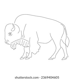Sketch drawing of a Bison isolated on a white background. Vector editable stroke.