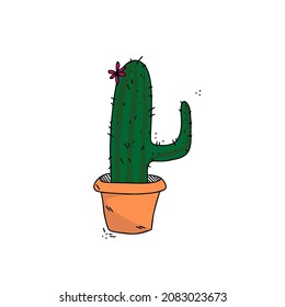 Sketch drawing of cactus in ceramic pot. Vector drawing for design of textiles, t-shirts, books, advertising.