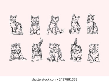 Sketch drawing cats line art outline hand drawn set vector illustration. Isolated on white background.