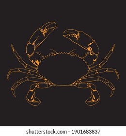 sketch drawing of a crab with vector techniques, perfect for learning to color