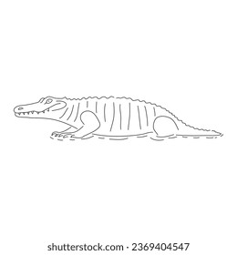 Sketch drawing of a Crocodile isolated on a white background. Vector editable stroke.