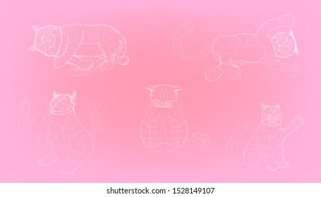sketch drawing of different action element cute cat. vector illustration eps10