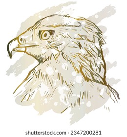 Sketch drawing of eagle head