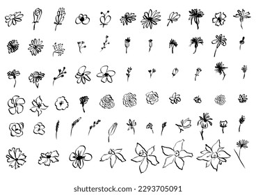 Sketch drawing flower collection. Big set artistic ink brush drawn small flowers. Rose, chamomile, narcissus, lily and other different wild, exotic plants. Field, meadow, tropical vector illustration