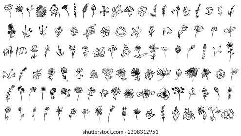 Sketch drawing flower collection. Big set artistic ink brush drawn small flowers. Rose, chamomile, narcissus, lily and other different wild, exotic plants. Field, meadow, tropical vector illustration.