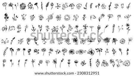 Sketch drawing flower collection. Big set artistic ink brush drawn small flowers. Rose, chamomile, narcissus, lily and other different wild, exotic plants. Field, meadow, tropical vector illustration.