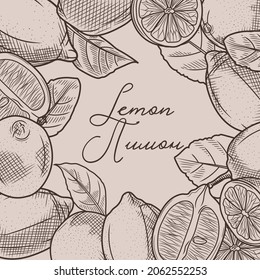 Sketch drawing frame made of lemon. Vector illustration of a lemon. Lemon fruits and leaves. Ripe lemon hand drawing.