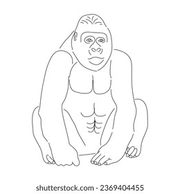 Sketch drawing of a gorilla isolated on a white background. Vector editable stroke.