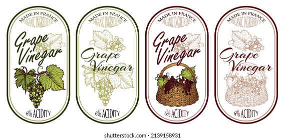 Sketch drawing grape vinegar logo set isolated on white background. Organic food badge. Line art green and red grapes with leaves in basket, outline wine fruit label. Vintage draw vector illustration.