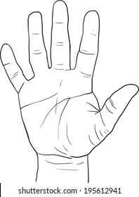 sketch drawing hand, palm,  vector illustration