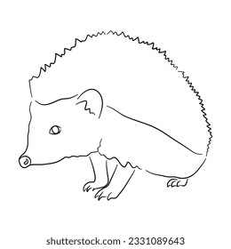 Sketch drawing of a Hedgehog isolated on a white background. Vector illustration. 