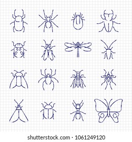 Sketch drawing line insect icons collection on paper sheet. Vector illustration