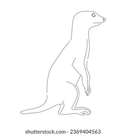 Sketch drawing of a Meerkat isolated on a white background. Vector editable stroke.