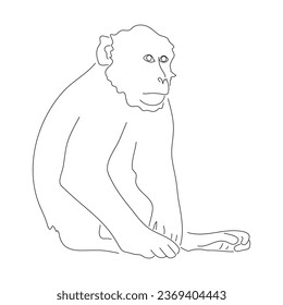 Sketch drawing of a monkey isolated on a white background. Vector editable stroke.