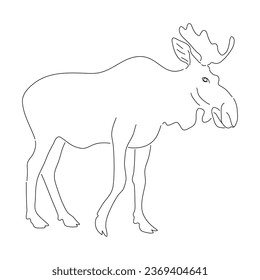 Sketch drawing of a Moose isolated on a white background. Vector editable stroke.