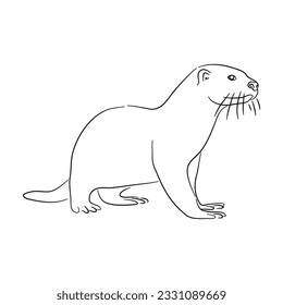 Sketch drawing of a Otter isolated on a white background. Vector illustration. 