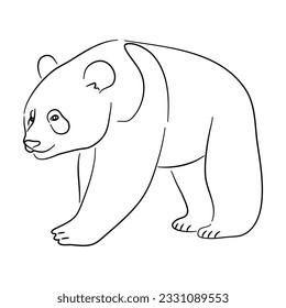 Sketch drawing of a Panda isolated on a white background. Vector illustration. 