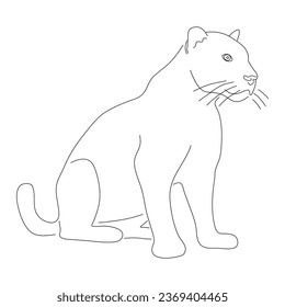 Sketch drawing of a Panther isolated on a white background. Vector editable stroke.