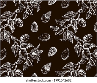 Esbozar el patrón de dibujo de las nueces de almendras en la rama aislada sobre fondo marrón. Árbol de almendras orgánicas con hojas, cáscara de boquilla, bocadillo vegetal de dibujo de tiza, floral, papel tapiz de comida. Ilustración vectorial.