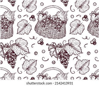 Sketch drawing pattern of bunch of grapes with leaves in basket isolated on white background. Line art wine fruit, engraved vine grape, berry. Outline alcohol drink wallpaper. Vector illustration.