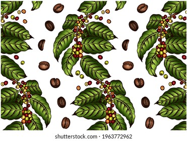 Sketch drawing pattern of coffee tree, green leaves, raw and roasted brown beans isolated on white background. Botanical wallpaper. Packaging for organic coffee drink, cafe menu. Vector illustration.