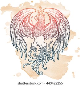 Sketch drawing of Phoenix isolated on grunge background.