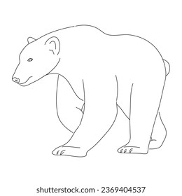Sketch drawing of a Polar Bear isolated on a white background. Vector editable stroke.