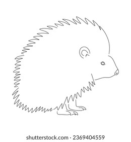 Sketch drawing of a Porcupine isolated on a white background. Vector editable stroke.