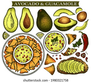 Sketch drawing set of mexican food with colorful avocado, guacamole, nachos, avocado toast, chilli pepper, sauce with corn chips. Line art snacks, engraving fast food background. Vector illustration.