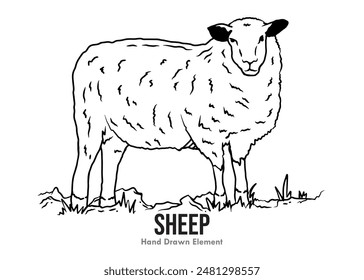 Sketch drawing of a sheep black ink line art vector.