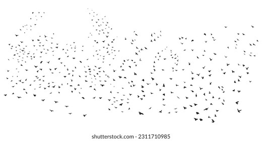 Sketch drawing of a silhouette of a flock of birds flying forward, cling together. Takeoff, flying, flight, flutter, hover, soaring, landing