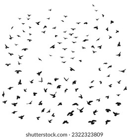 Sketch drawing of a silhouette of a flock of birds flying forward, cling together. Takeoff, flying, flight, flutter, hover, soaring, landing