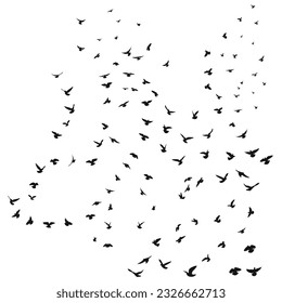 Sketch drawing of a silhouette of a flock of birds flying forward, cling together. Takeoff, flying, flight, flutter, hover, soaring, landing