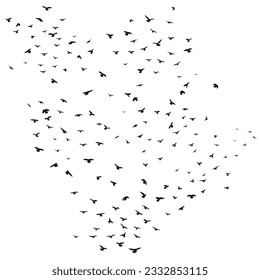 Sketch drawing of a silhouette of a flock of birds flying forward, cling together. Takeoff, flying, flight, flutter, hover, soaring, landing