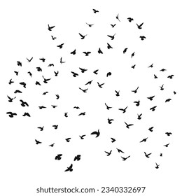 Sketch drawing of a silhouette of a flock of birds flying forward, cling together. Takeoff, flying, flight, flutter, hover, soaring, landing