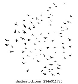 Sketch drawing of a silhouette of a flock of birds flying forward, cling together. Takeoff, flying, flight, flutter, hover, soaring, landing