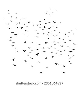 Sketch drawing of a silhouette of a flock of birds flying forward, cling together. Takeoff, flying, flight, flutter, hover, soaring, landing