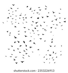 Sketch drawing of a silhouette of a flock of birds flying forward, cling together. Takeoff, flying, flight, flutter, hover, soaring, landing