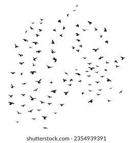 Sketch drawing of a silhouette of a flock of birds flying forward. Takeoff, flying, flight, flutter, hover, soaring, landing