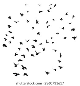 Sketch drawing of a silhouette of a flock of birds flying forward. Takeoff, flying, flight, flutter, hover, soaring, landing