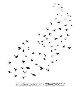 Sketch drawing of a silhouette of a flock of birds flying forward. Takeoff, flying, flight, flutter, hover, soaring, landing