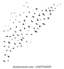 Sketch drawing of a silhouette of a flock of birds flying forward. Takeoff, flying, flight, flutter, hover, soaring, landing