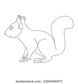 Sketch drawing of a Squirrel isolated on a white background. Vector editable stroke.